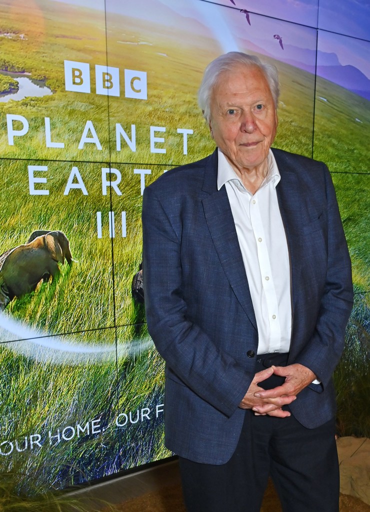 Sir David Attenborough attends the Global Launch of BBC Studios' 