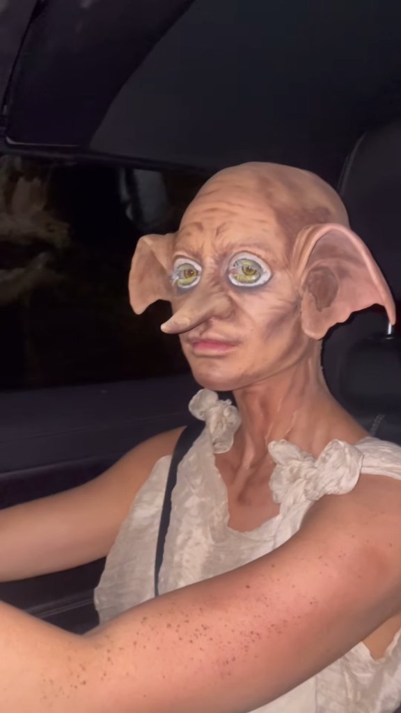 Georgia Harrison FYI if your gonna dress as #dobby make sure you fill up the tank first ??